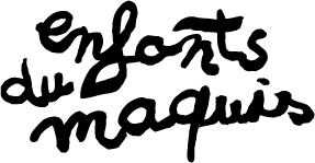 SUROLEO logo
