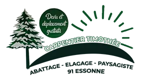 CARPENTIER TIMOTHEE logo