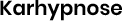 EL MEJRI KARIMA logo