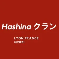 HASHINA logo