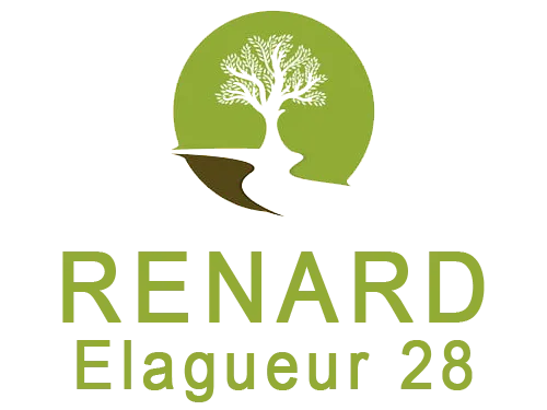 RENARD HENRI logo