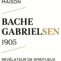 THS BACHE GABRIELSEN logo