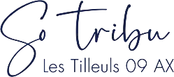 SO TRIBU logo