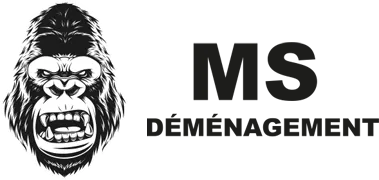 MS logo