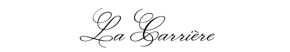 PC FRANCE logo