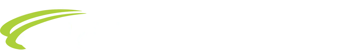 DDSN logo
