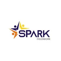 Voici le logo de la marque SPARK FIELDWORK qui représente son identité graphique.