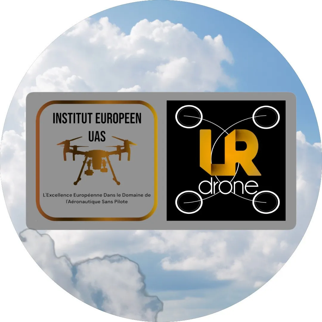 LR DRONE logo