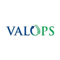 Voici le logo de la marque VALOPS qui représente son identité graphique.