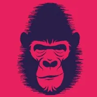 DIGITAL MONKEYZ logo