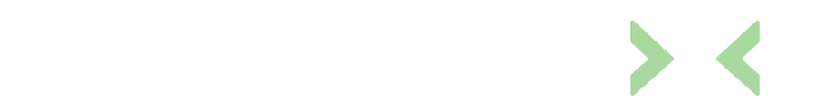 RENARD BINJAMIN logo
