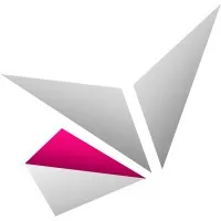 CODINSIGHT logo