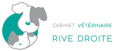 RIVE DROITE logo