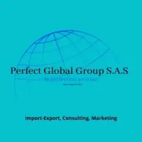 PERFECT GLOBAL GROUP logo