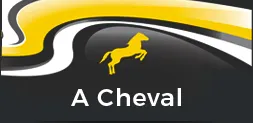 A CHEVAL AND CO logo