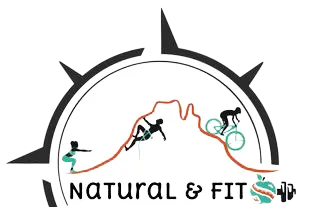 FLEURY SYS logo
