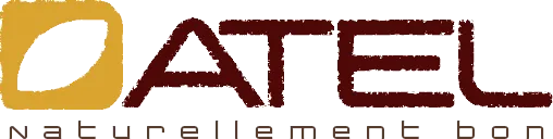 DATEL logo
