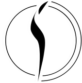 S3NS logo