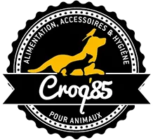 CROQ'85 logo