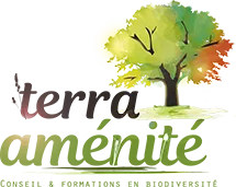 TERRA AMENITE logo