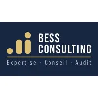 BESS CONSULTING logo