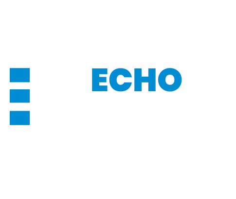 ECHO NUMERIC logo