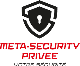 META-SECURITY (MS) logo