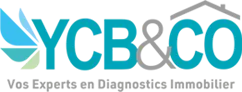 YCB&CO Y&G' DIAG IMMO logo