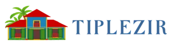 TIPLEZIR SAVEURS logo