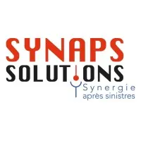 SYNAPS SOLUTIONS logo