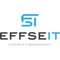 EFFSEIT ACCESS (CYBER SES) logo