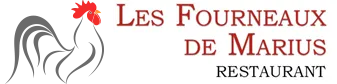 FANZY logo