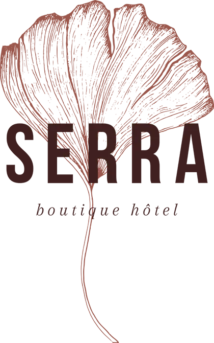 LE CLOS SAINT JEAN logo
