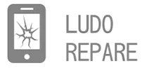 DROLEZ LUDOVIC logo