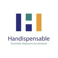 VFCONSEIL logo