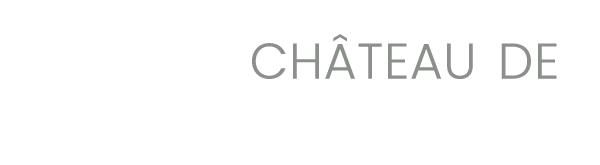 DOMAINE DE CHANGY logo