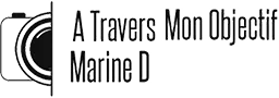 DUVAL MARINE logo