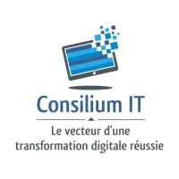 CONSILIUM IT logo