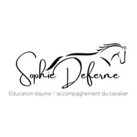 DEFERNE SOPHIE logo
