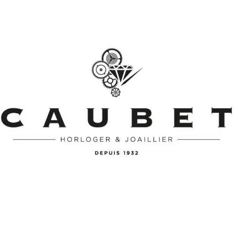Voici le logo de la marque PHS DEVELOPPEMENT qui représente son identité graphique.