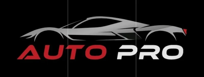 SAS AUTO PRO LH logo