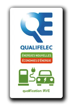 COULEUR ELEC logo