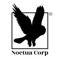 NOCTUA CORP logo