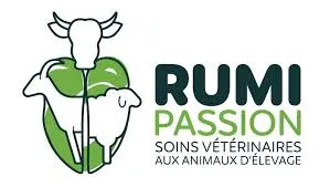 RUMIPASSION logo