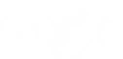 MOOOON INC logo