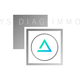 YS DIAG IMMO logo