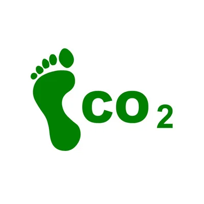PANEOLOCAL logo