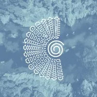 IBMED logo