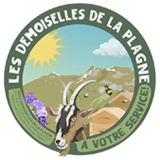DEMOISELLES DE LA PLAGNE logo