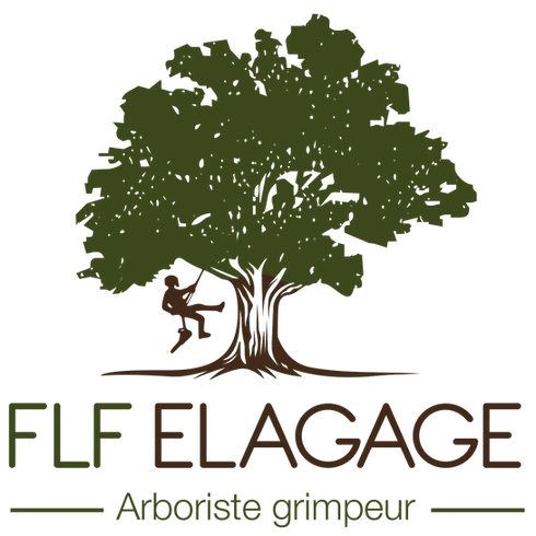 FLF ELAGAGE logo